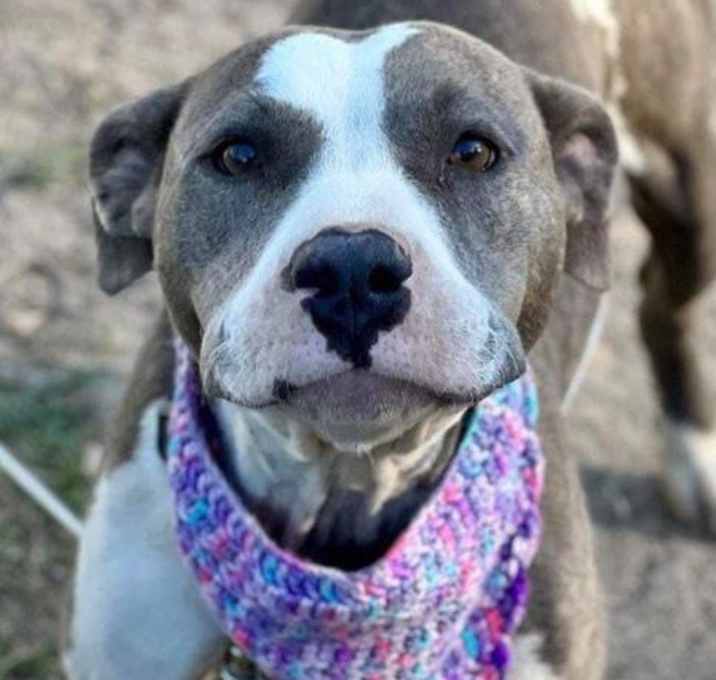 Photo of Samantha