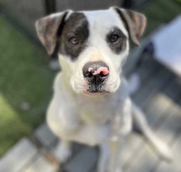 Photo of Cowboy 💜 SO GOOD!