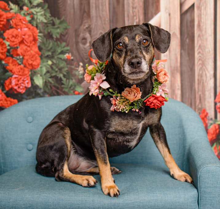 Photo of Maggie Mae