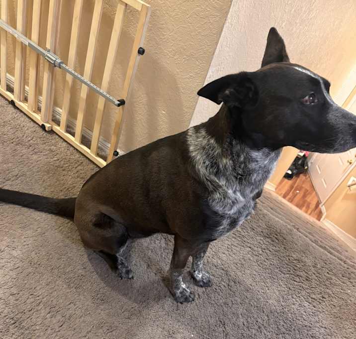 Photo of Minnie