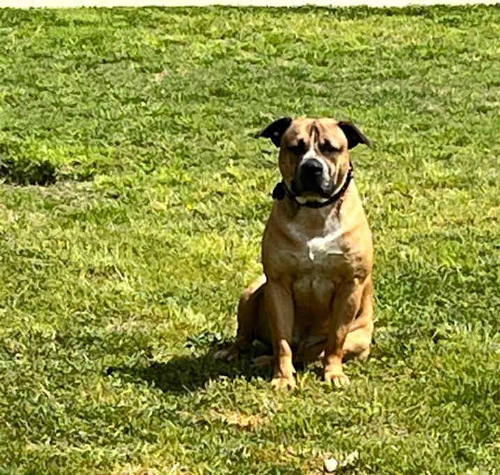 Photo of King