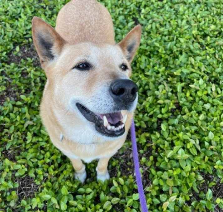 Photo of Jack