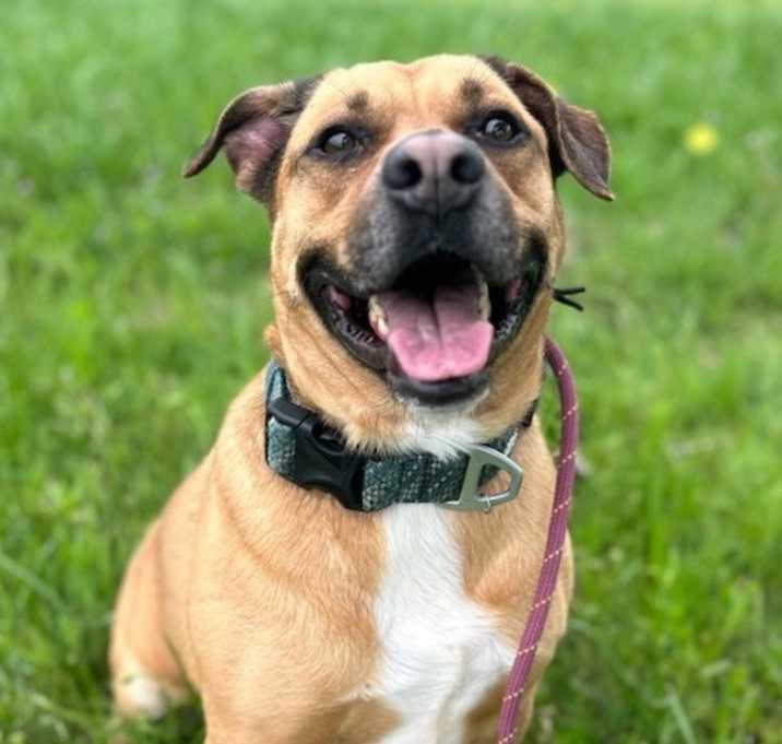 Photo of Rebel