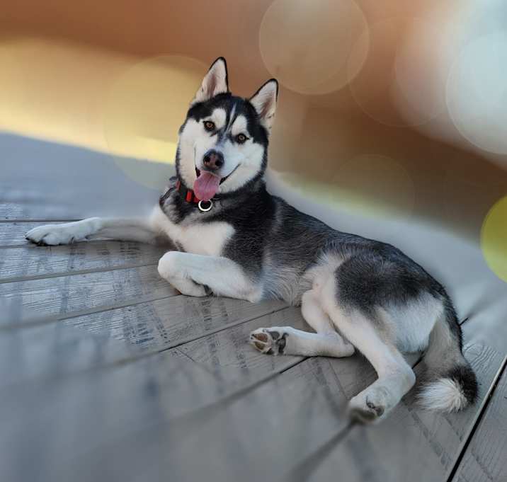 Photo of Bentley