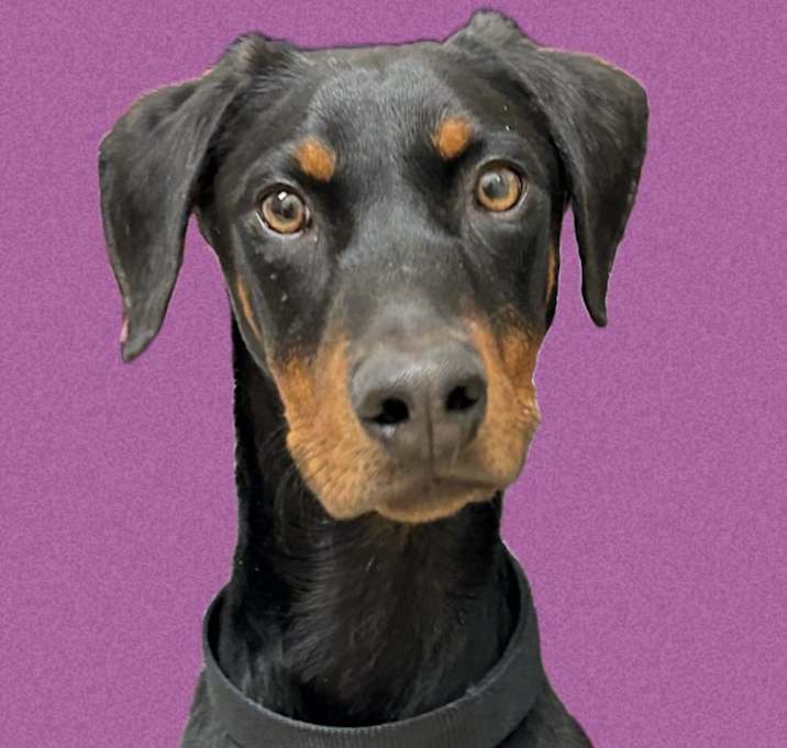 Photo of Jack