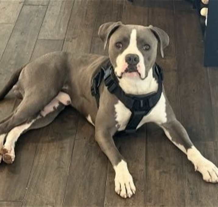 Photo of Cupcake
