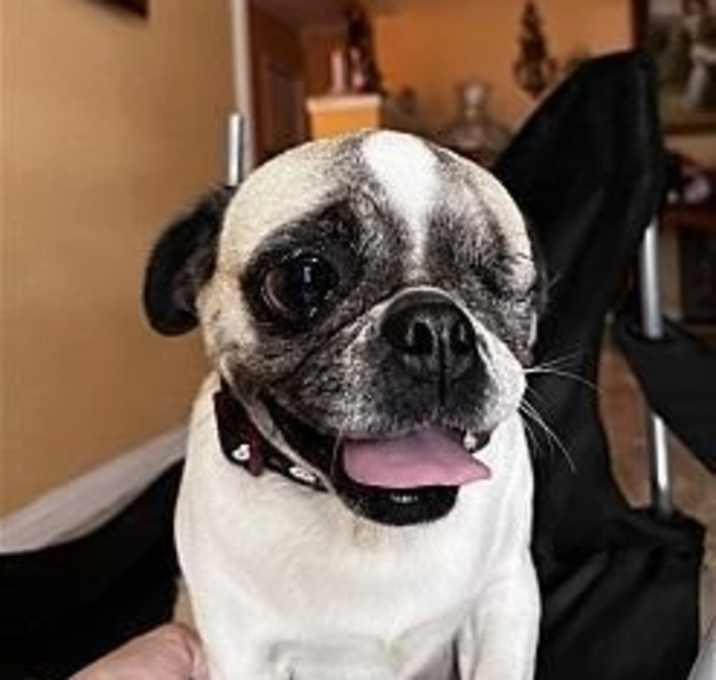 Photo of Heidi Girl