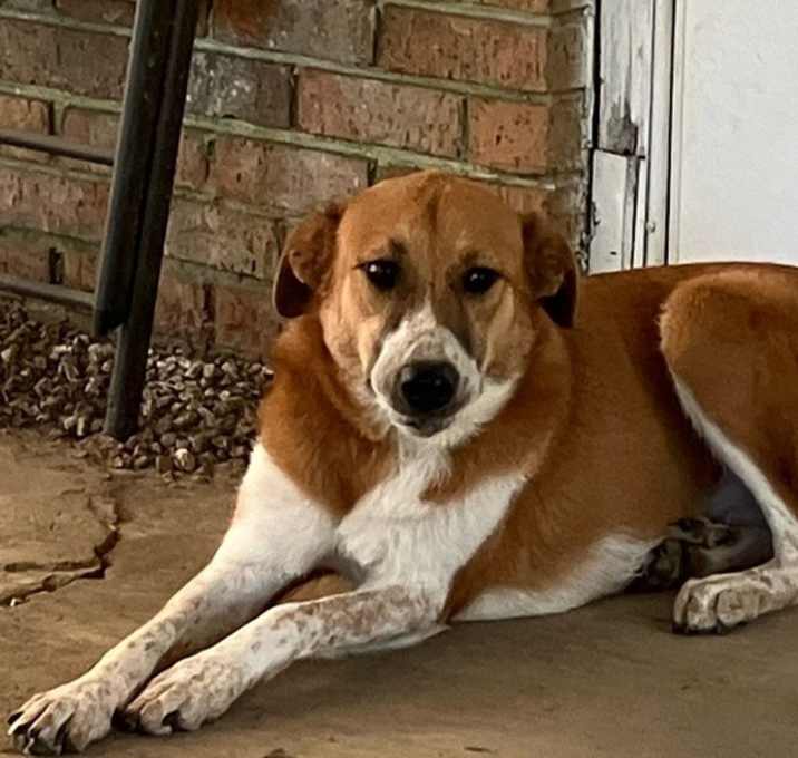 Photo of Sally