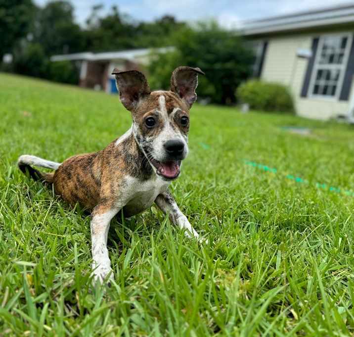 Photo of Lil' Guy