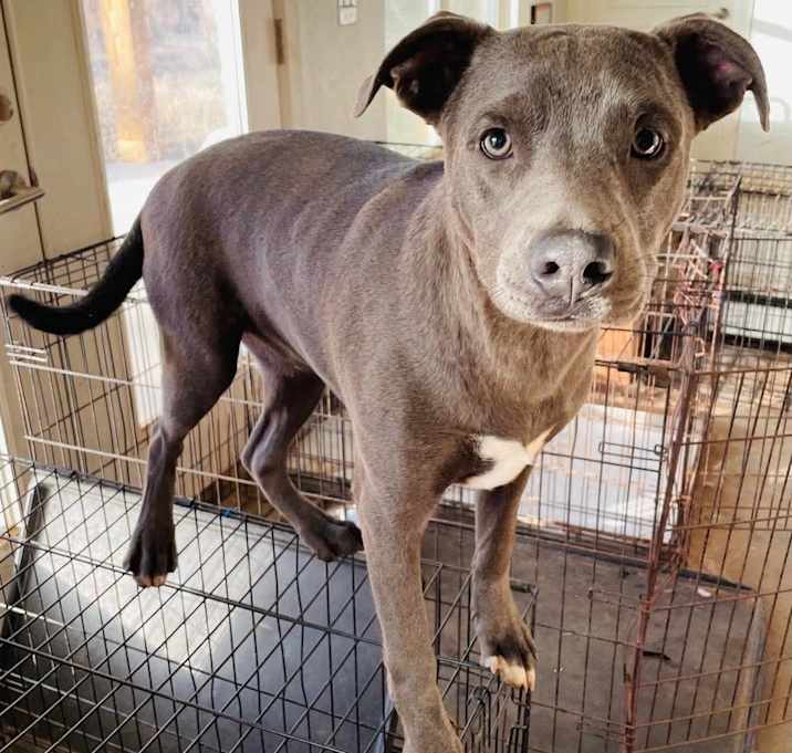 Photo of Bixby