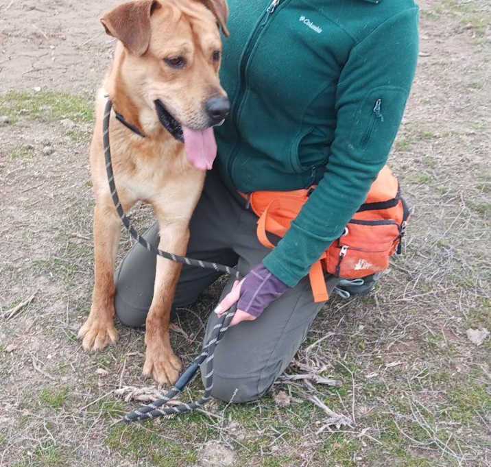 Photo of Scooby