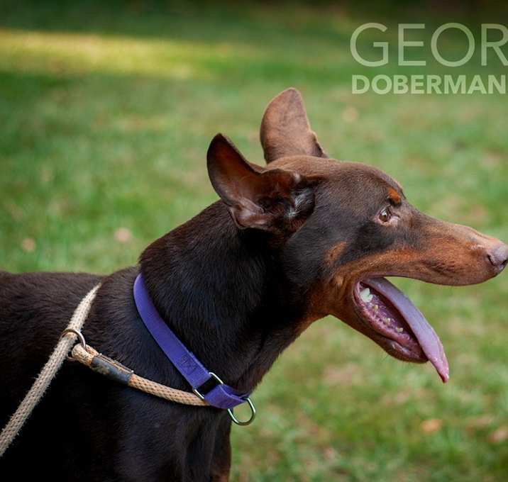 Photo of Jet