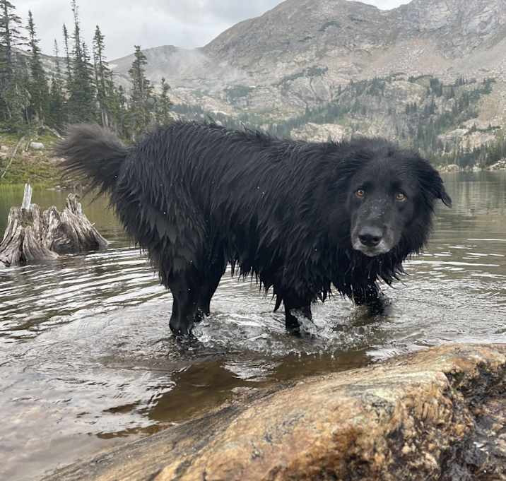 Photo of Charlie