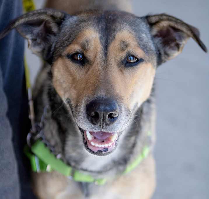 Photo of Nora