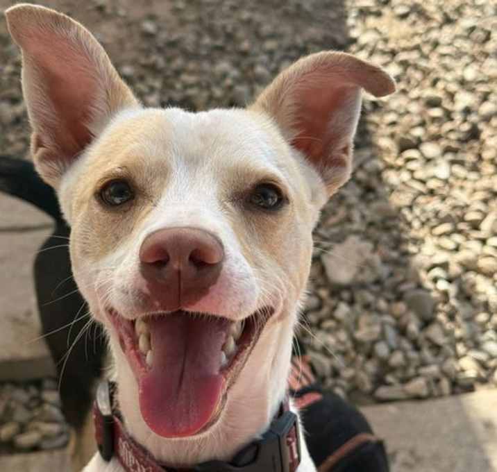 Photo of Oddie