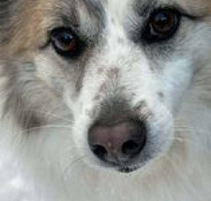Photo of Nora