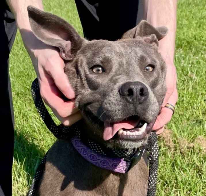 Photo of Smokey