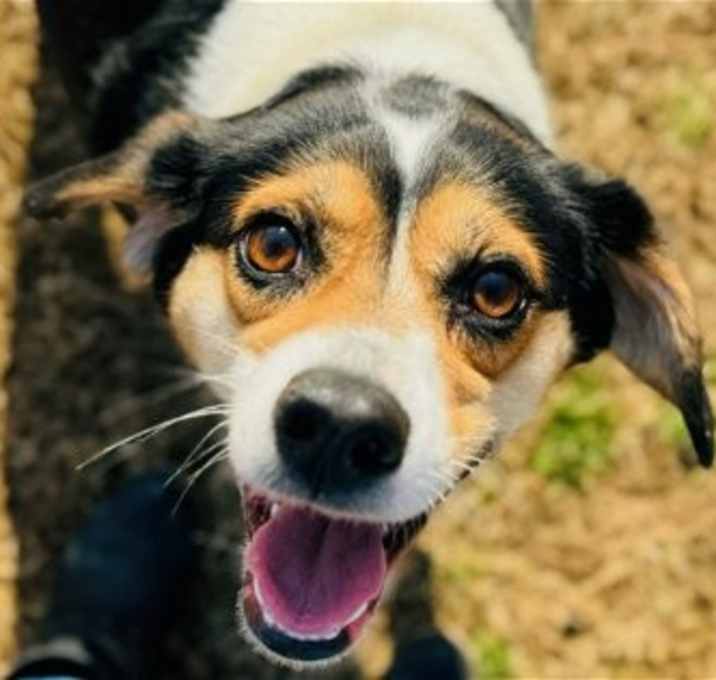 Photo of Daisy & Summer