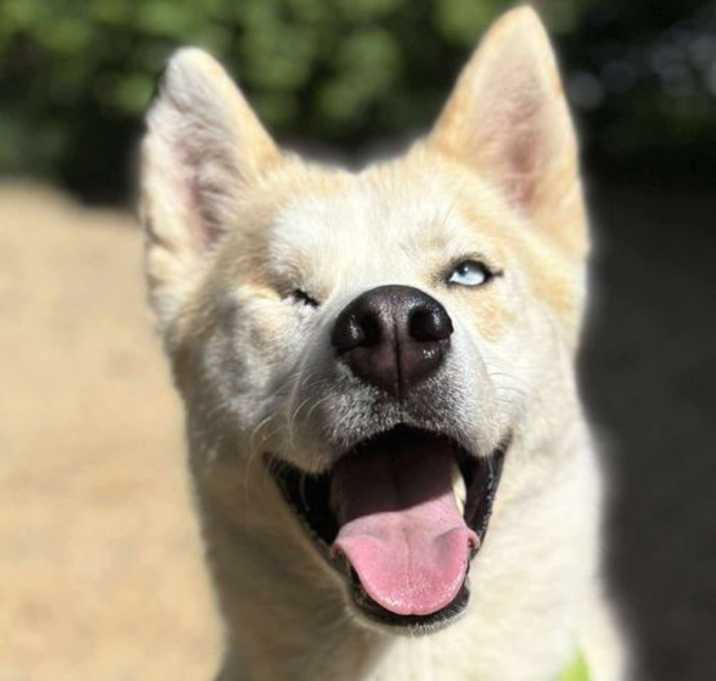 Photo of Hero