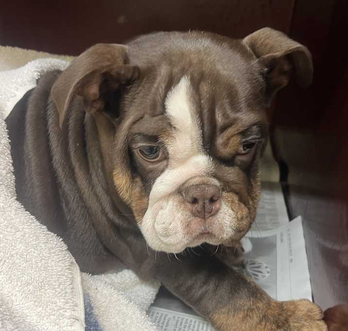 Photo of Edgar (Special Needs)