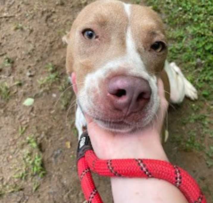 Photo of Jax
