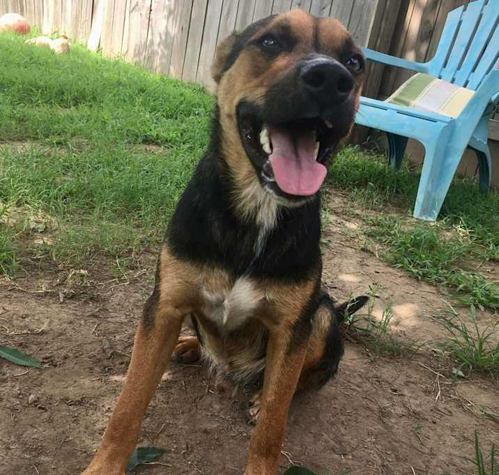 Photo of Atom