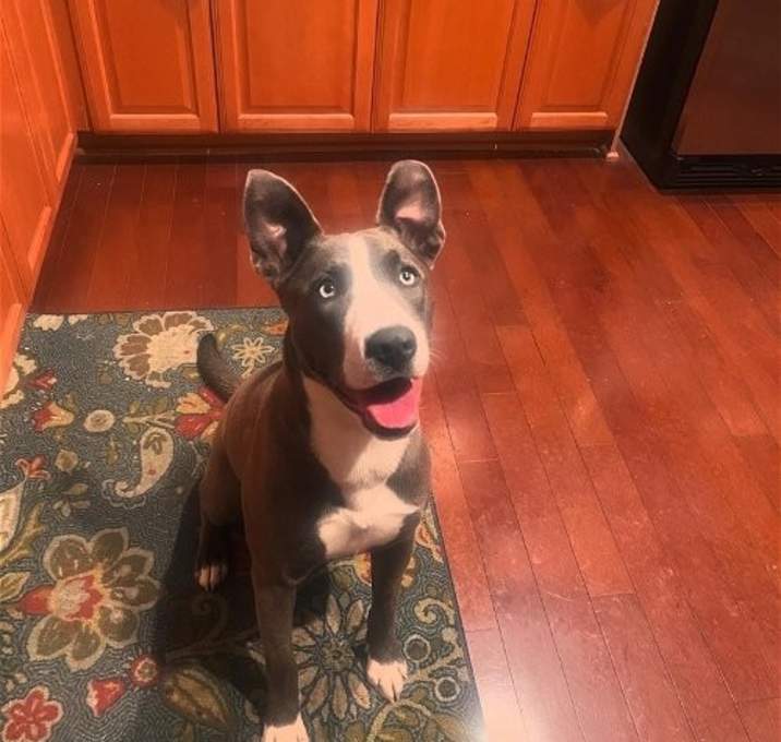 Photo of Kira