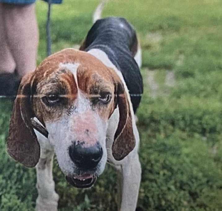 Photo of Mavis