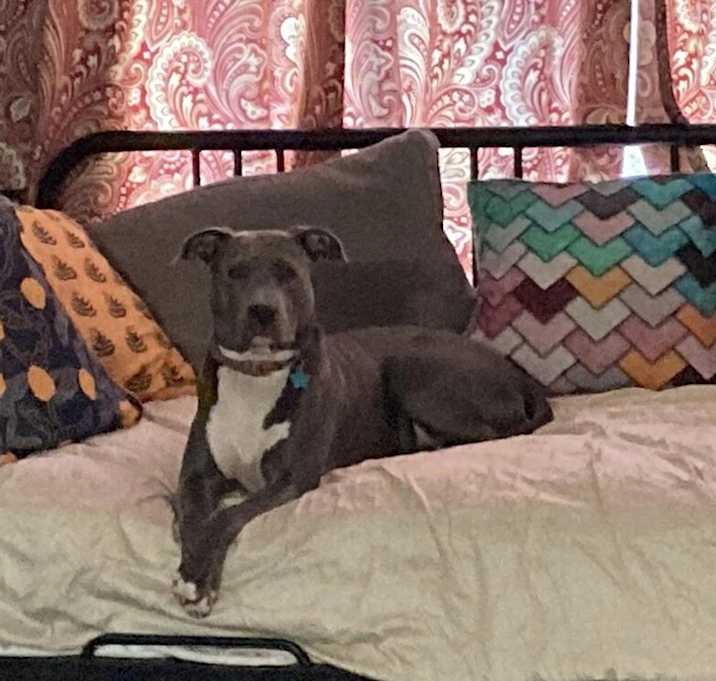 Photo of Joy