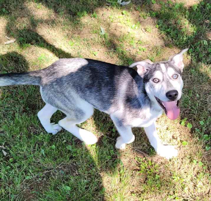 Photo of Aspen