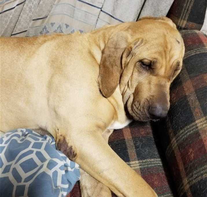 Photo of Fiona