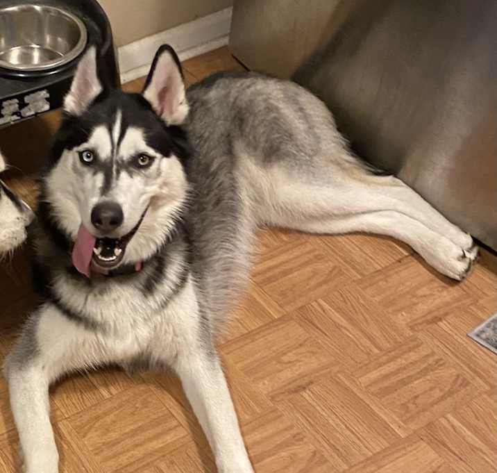 Photo of Meeka