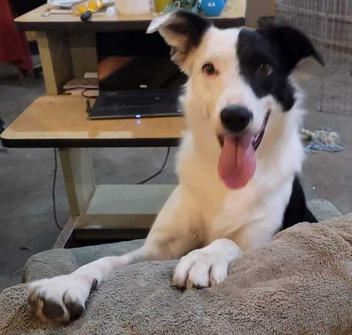 Photo of Willy