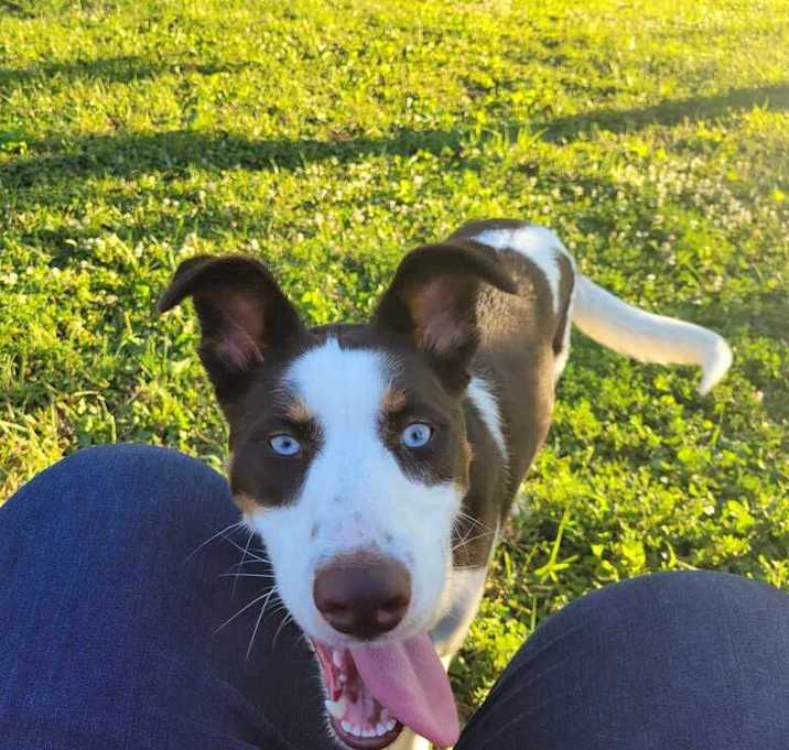 Photo of Tilly