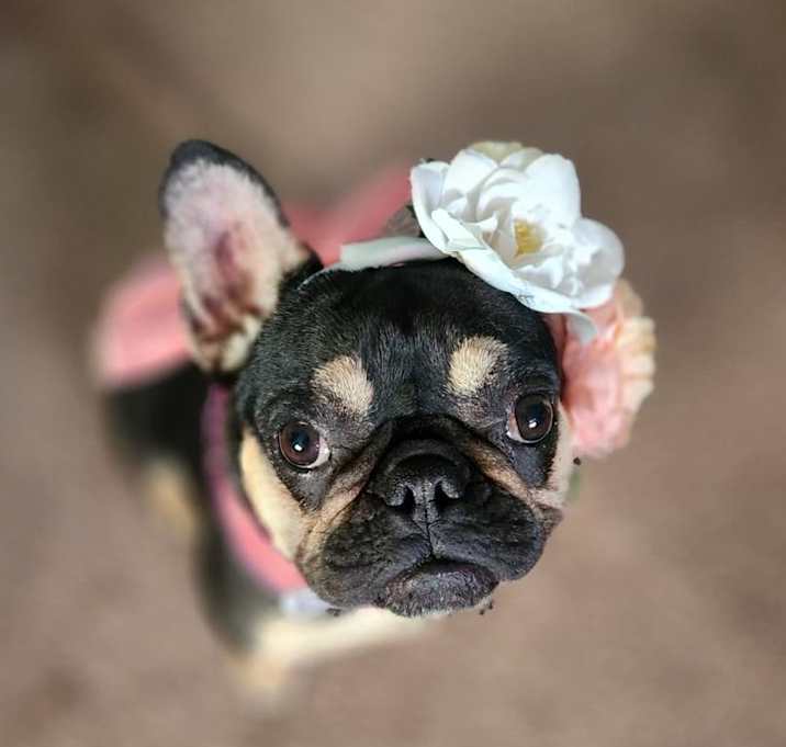 Photo of Sushi