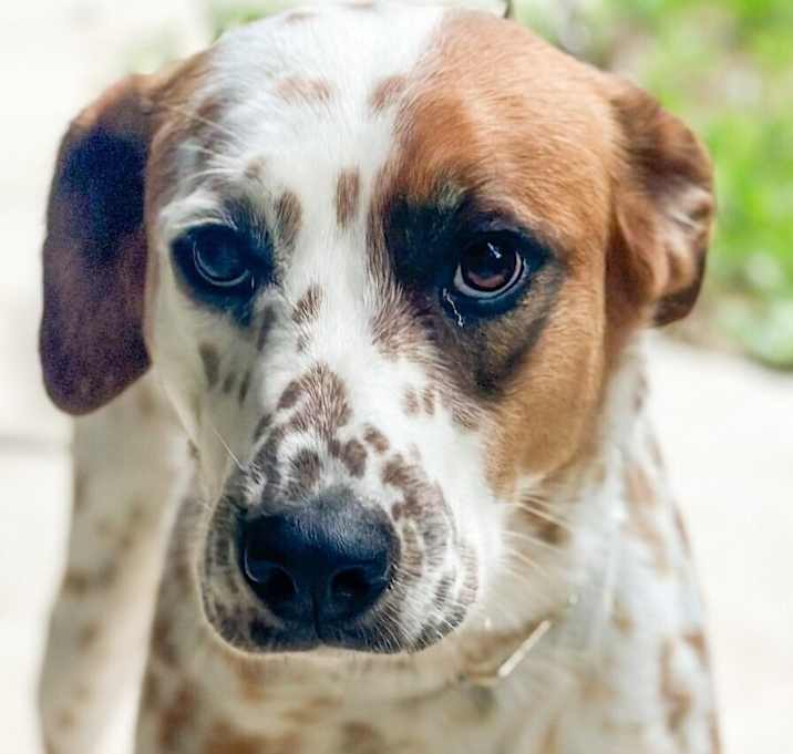 Photo of Skyler (Cross Post)