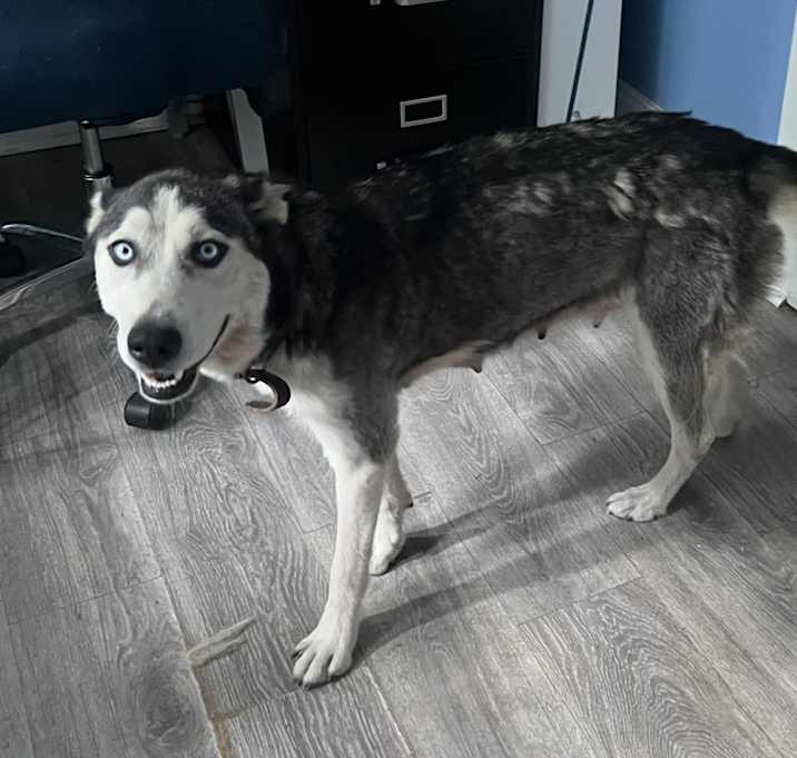 Photo of Elsa