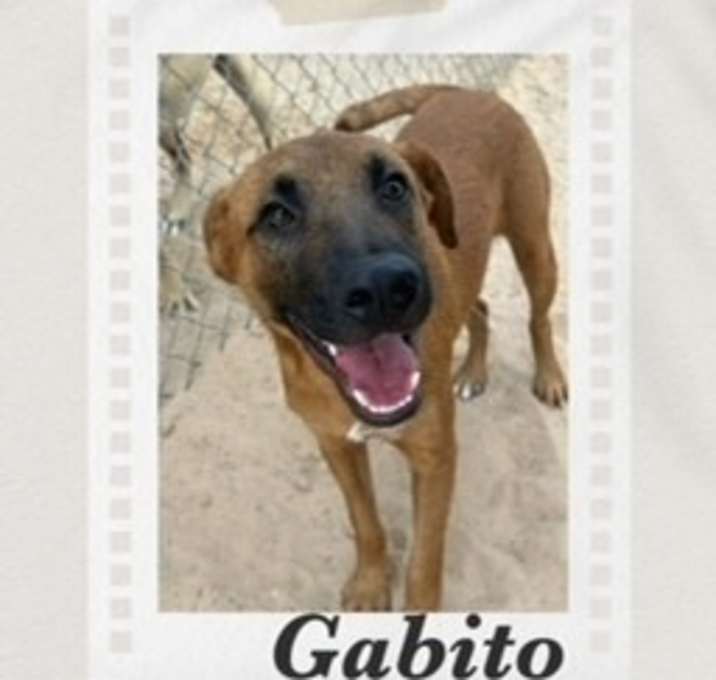 Photo of Gabito