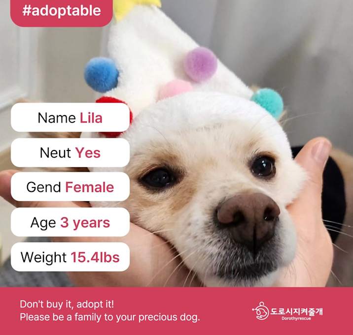 Photo of Lila (D)