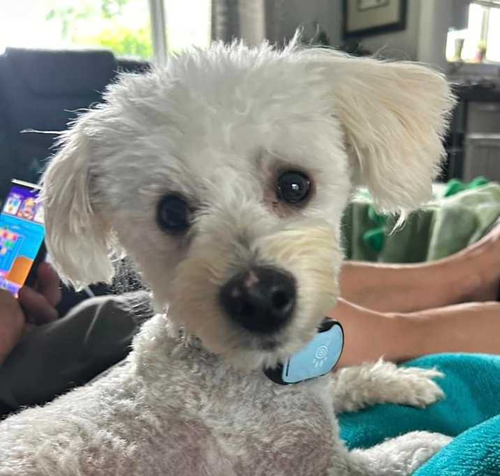 Photo of Walter