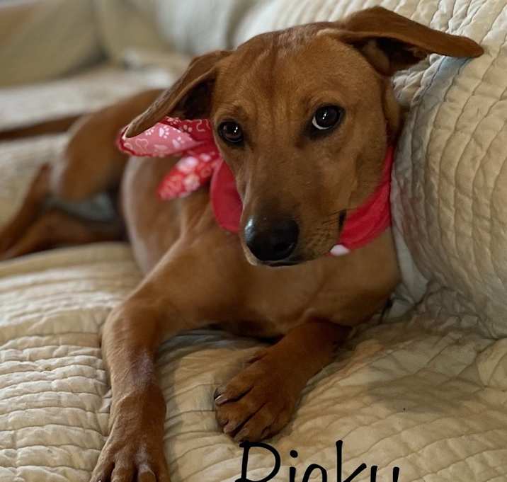 Photo of Ricky
