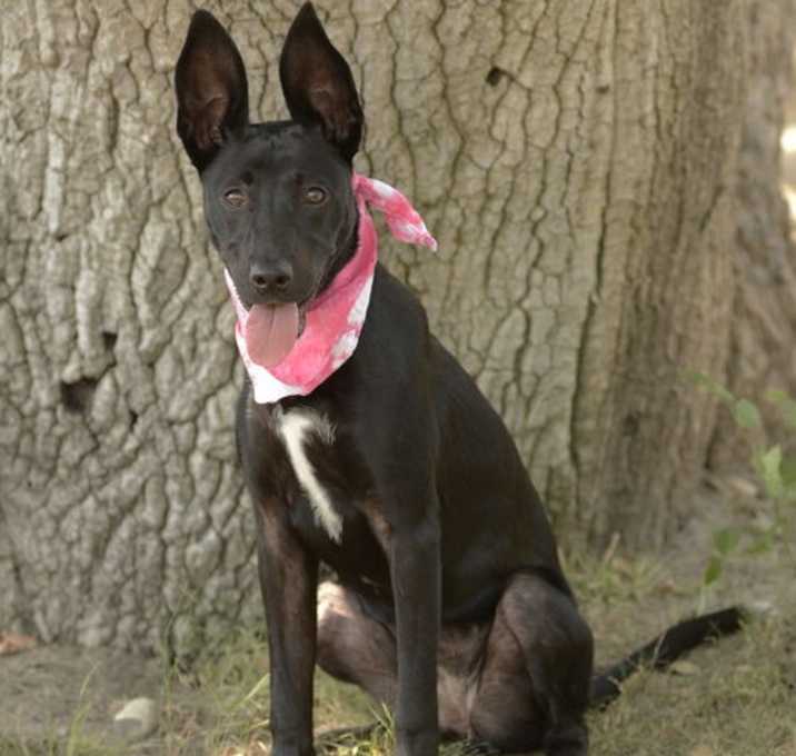 Photo of Ruthie