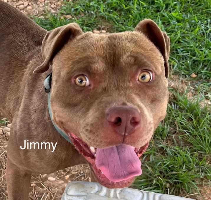 Photo of Jimmy