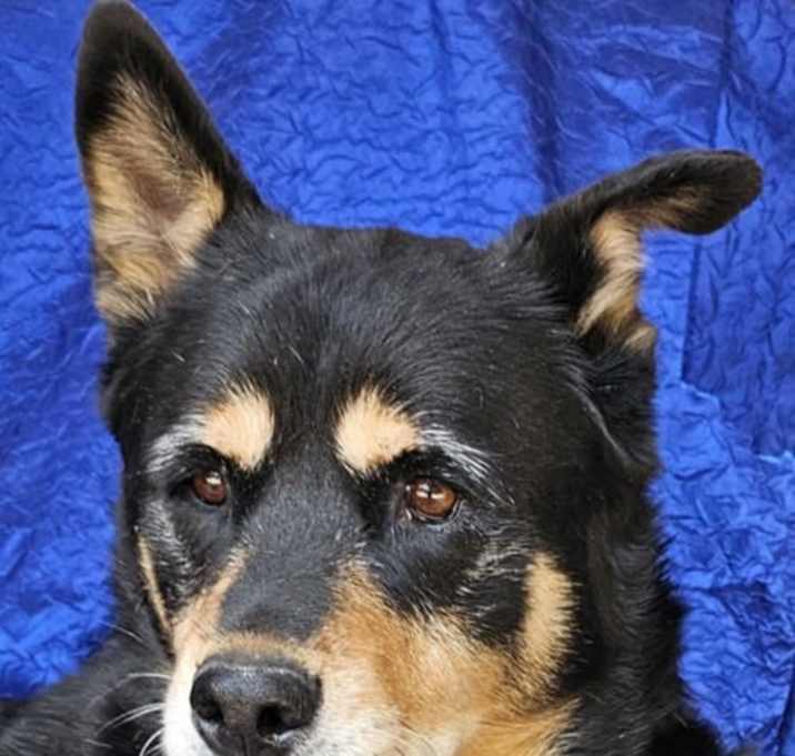 Photo of Ziva Lee