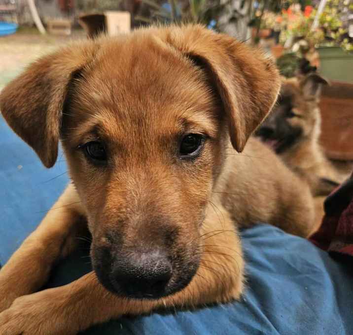 Photo of Baby Ingrid