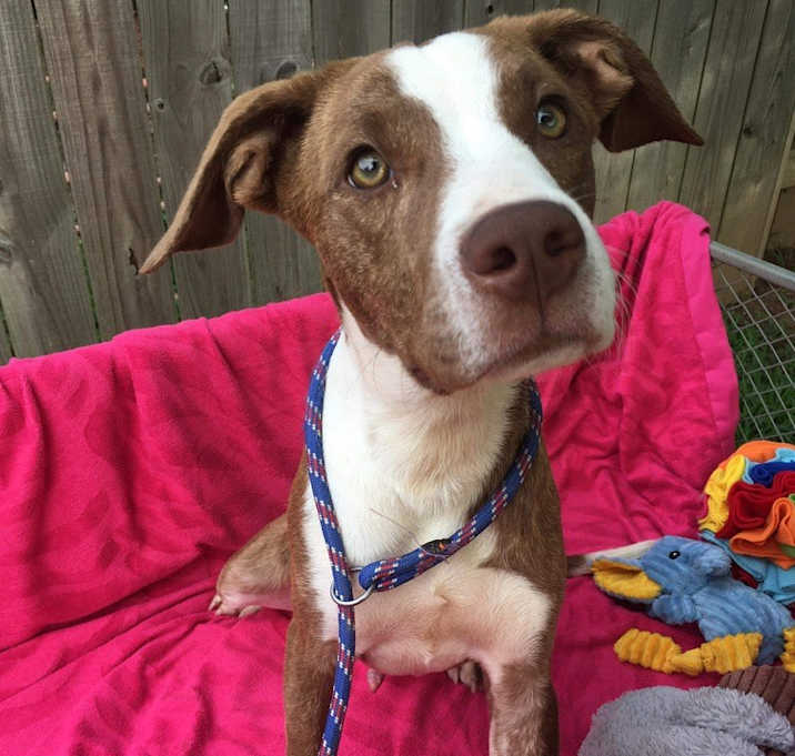 Photo of Murphy