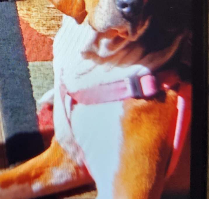 Photo of Ellie