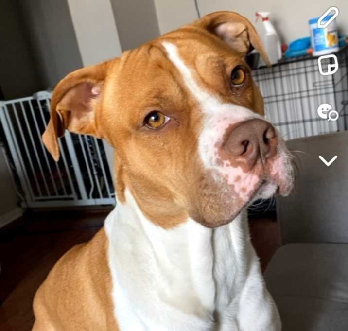 Photo of Nipsey