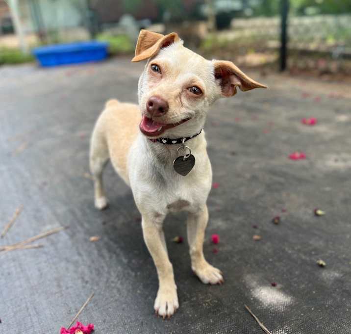 Photo of Angel