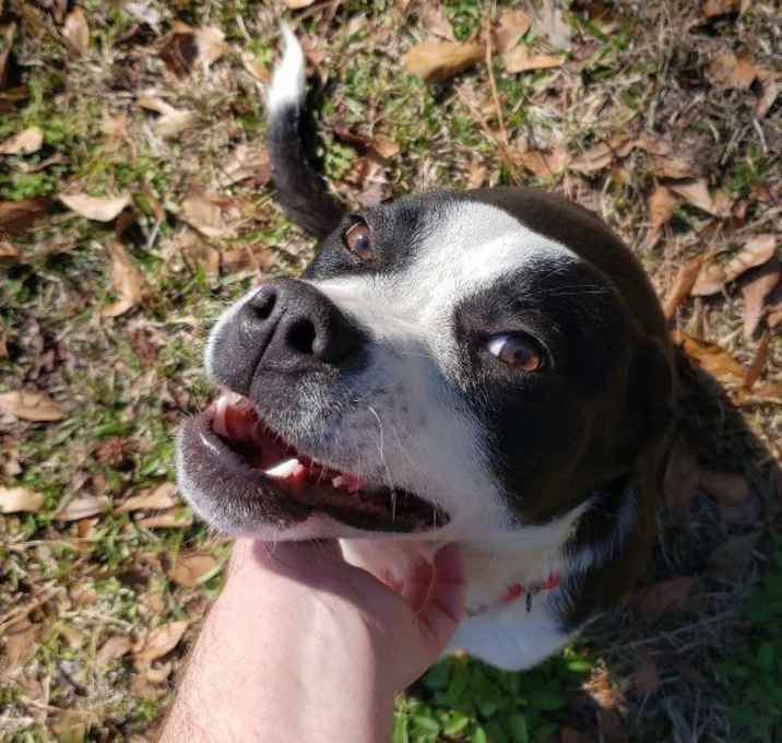 Photo of Davina *WAIVED FEE